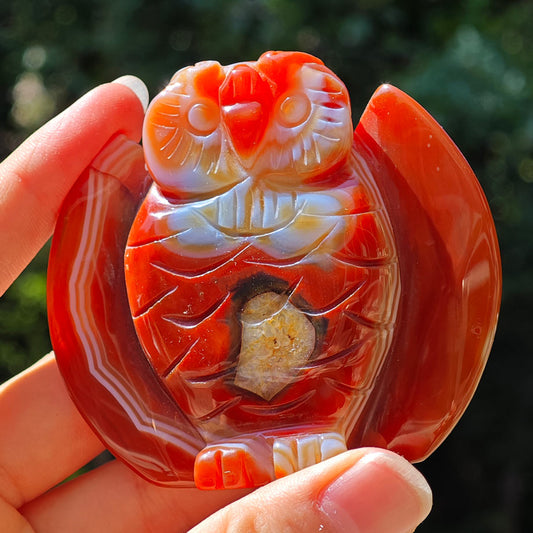 carnelian owl