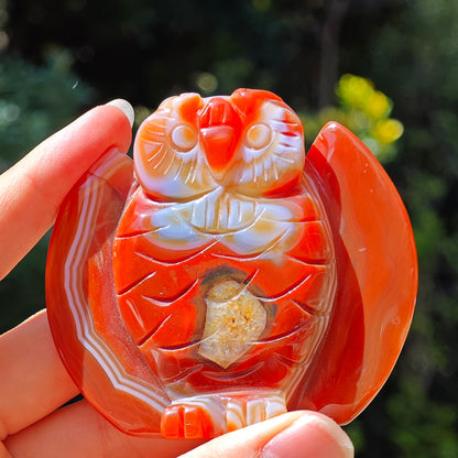 HQ Carnelian Crystal Owl