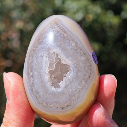 High-quality Druzy Agate crystal egg0