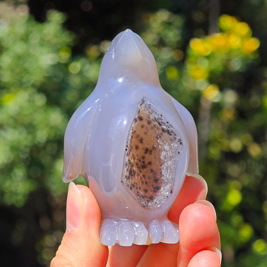 druzy agate penguin