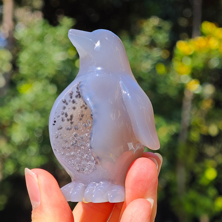 HQ Druzy Agate Crystal Penguin