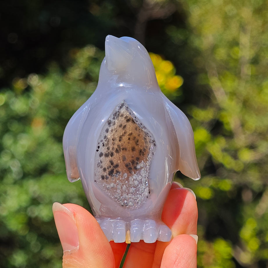 HQ Druzy Agate Crystal Penguin