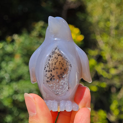 HQ Druzy Agate Crystal Penguin