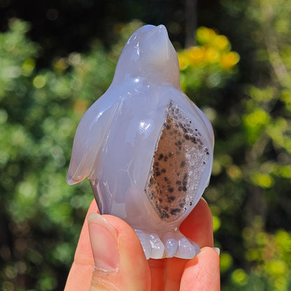 HQ Druzy Agate Crystal Penguin