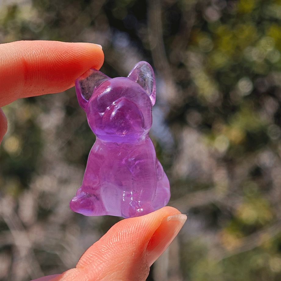 Wholesale Fluorite Crystal Dog