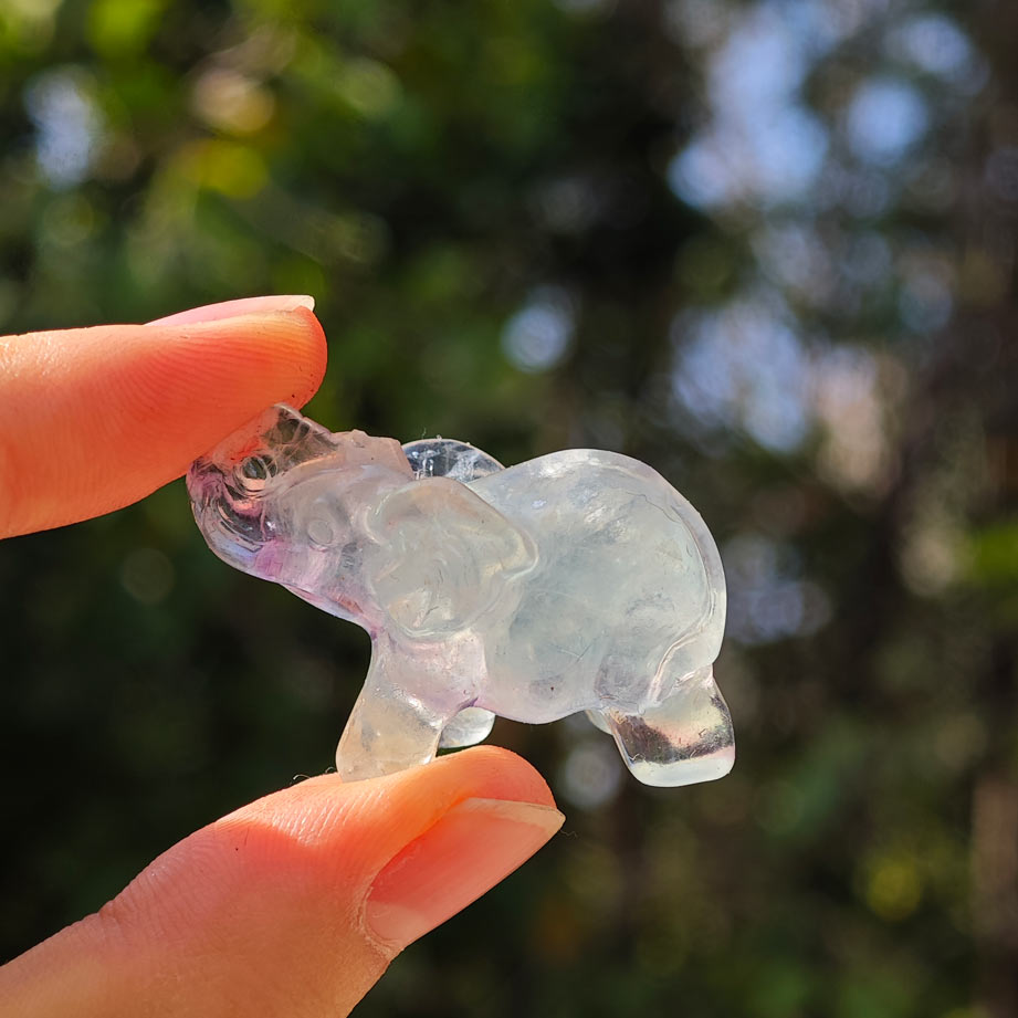 Wholesale Fluorite Crystal Elephant