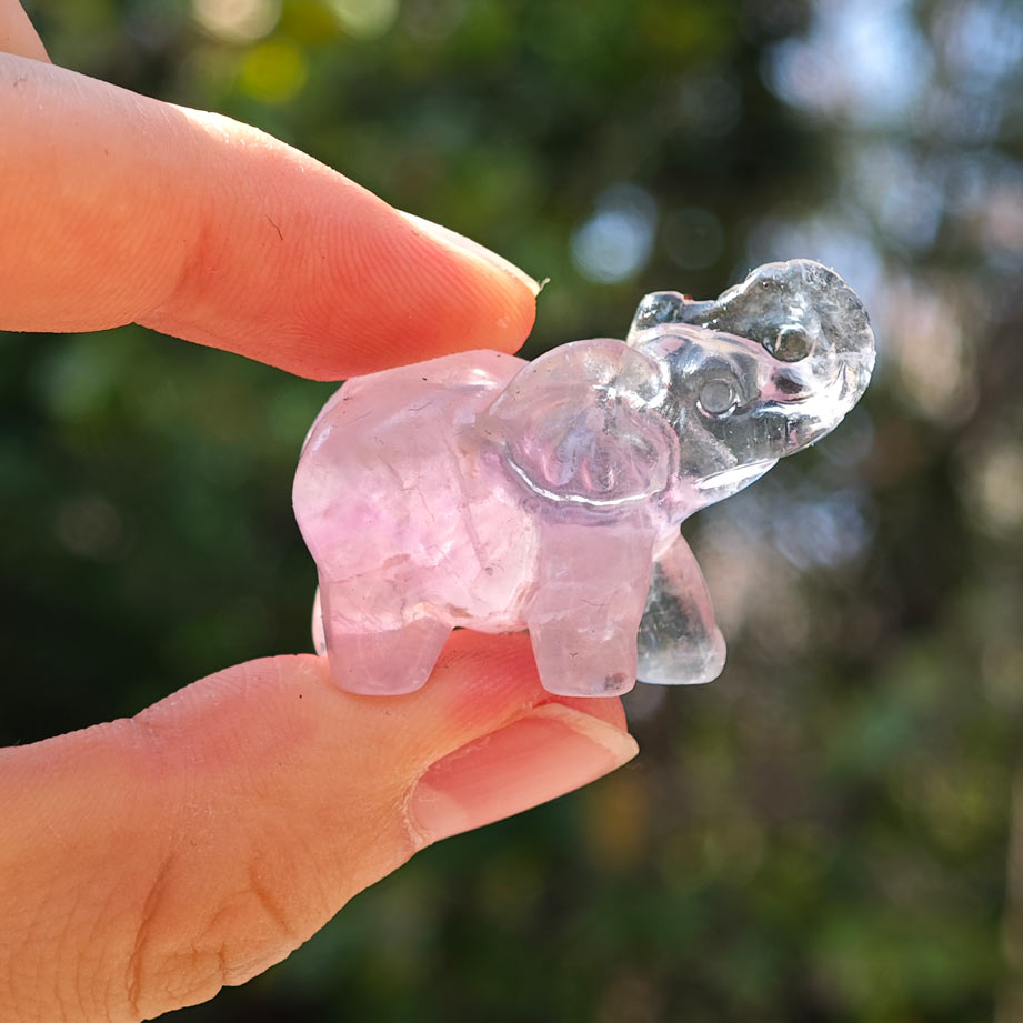 Wholesale Fluorite Crystal Elephant