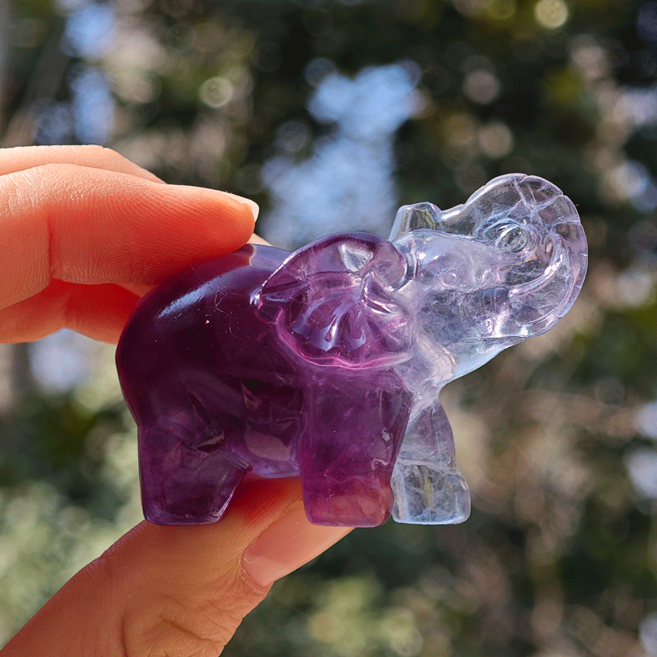 Wholesale Fluorite Crystal Elephant