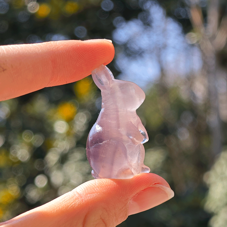 Wholesale Fluorite Crystal Rabbit