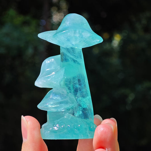 fluorite mushroom