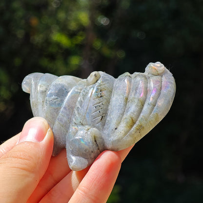 Free Labradorite Crystal Bat