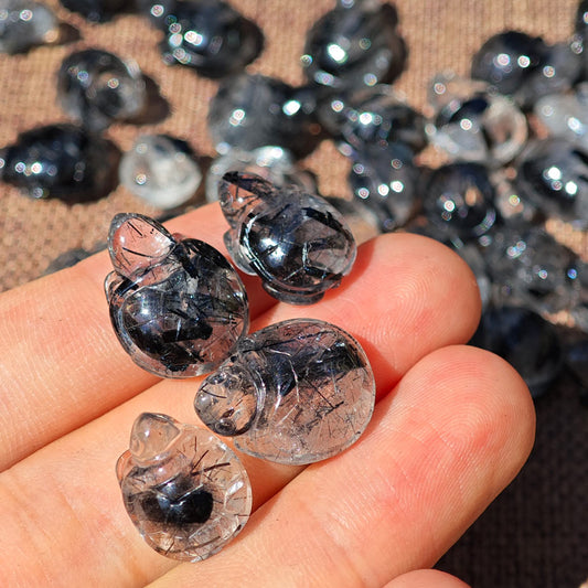 black tourmaline turtle