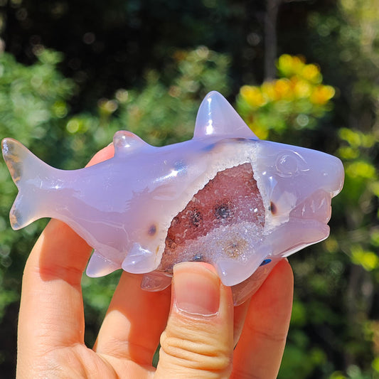 druzy agate shark