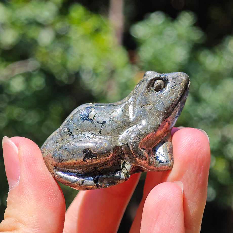 pyrite frog