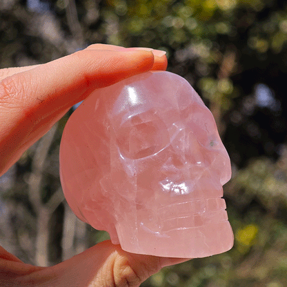 Wholesale Rose Quartz Crystal Skull